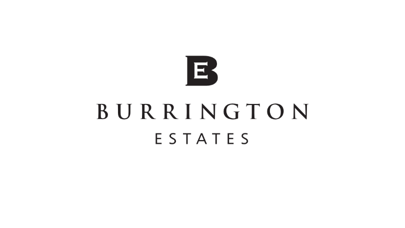 Burrington Estates Placeholder Light 810x456