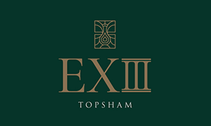 EXIII  logo