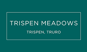 Trispen Meadows logo